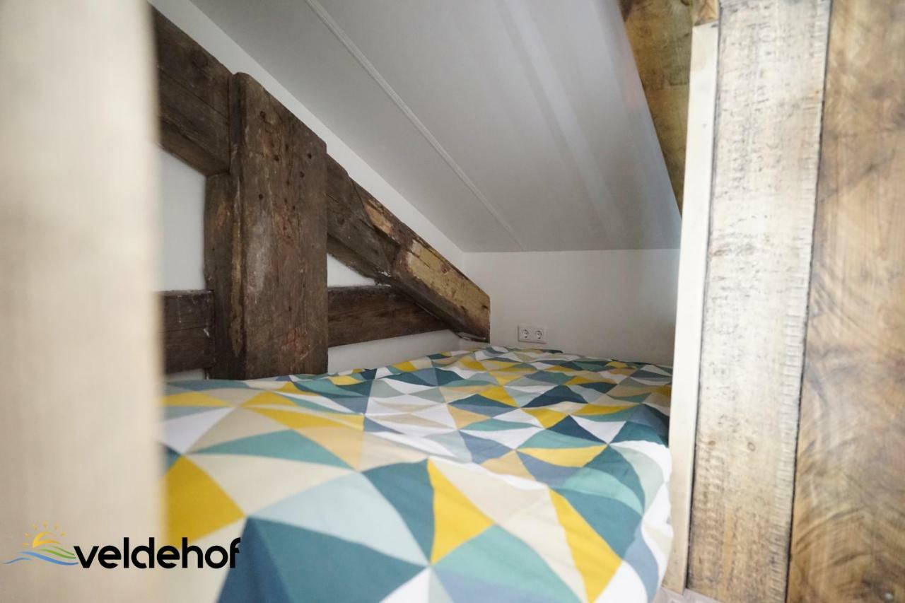 فيلا 'T Veldehof دومبورغ المظهر الخارجي الصورة