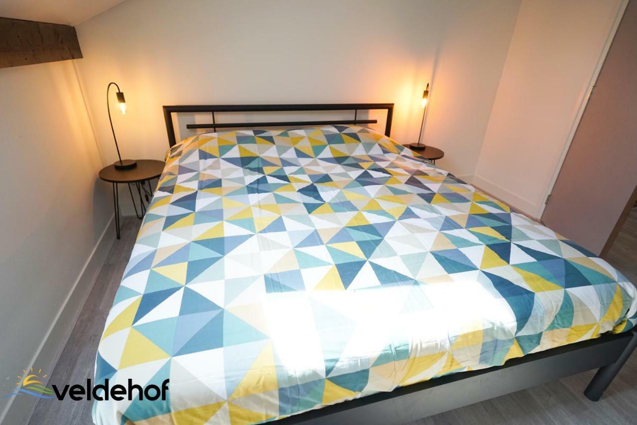 فيلا 'T Veldehof دومبورغ المظهر الخارجي الصورة