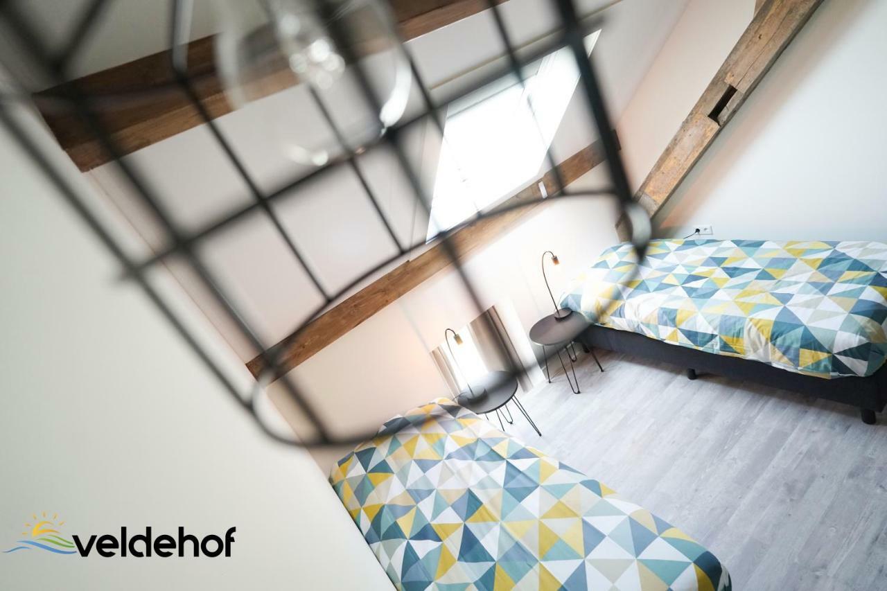 فيلا 'T Veldehof دومبورغ المظهر الخارجي الصورة
